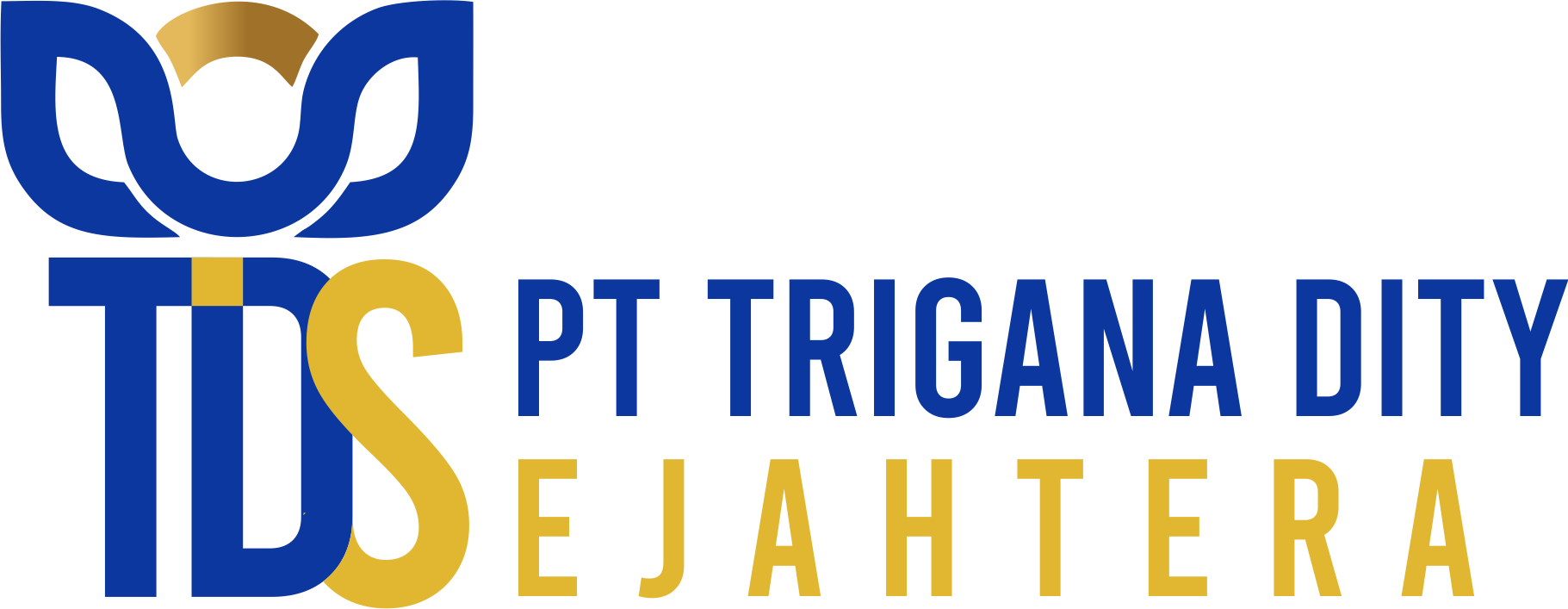 TDS Transparant 2